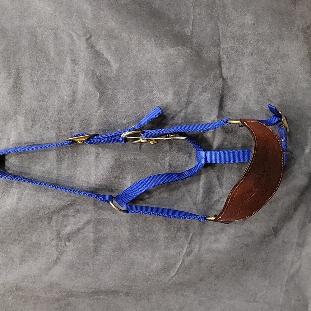 Tooled Leather Bronc Halter Full Horse Tack